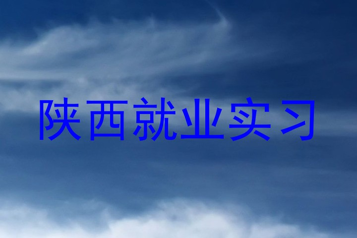 陕西就业实习