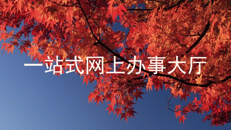 一站式网上办事大厅