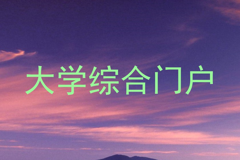 大学综合门户