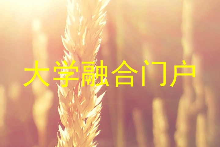 大学融合门户