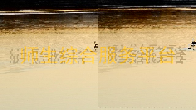 师生综合服务平台