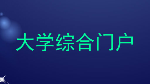 大学综合门户