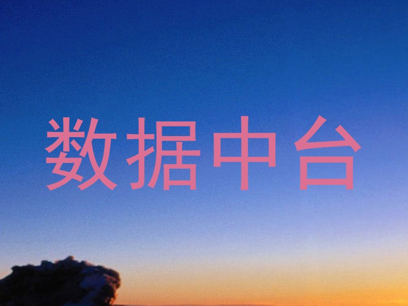 数据中台
