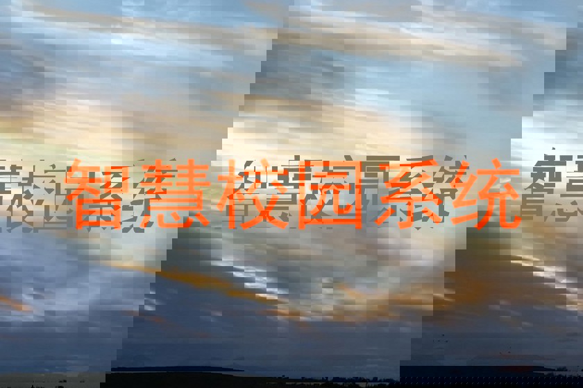 智慧校园系统