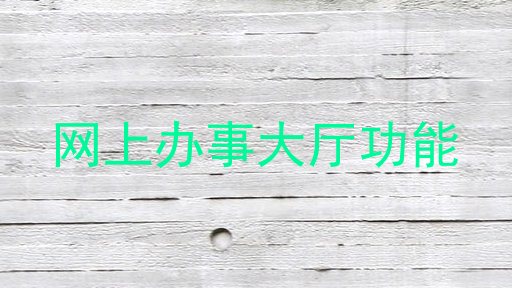 网上办事大厅功能