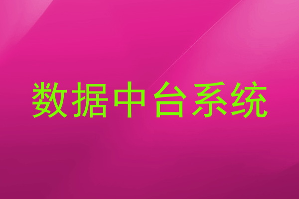 数据中台系统