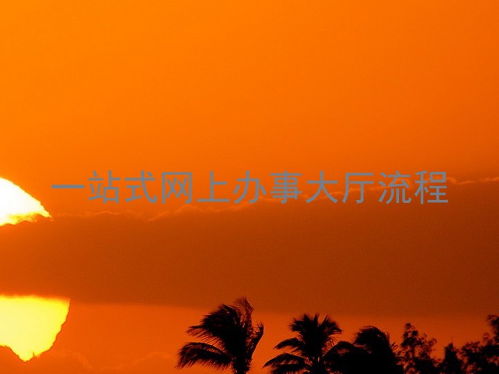 一站式网上办事大厅流程