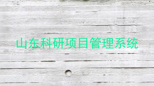山东科研项目管理系统