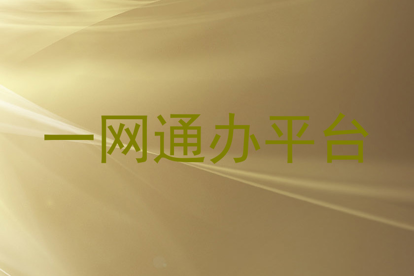 一网通办平台