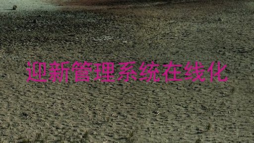 迎新管理系统在线化