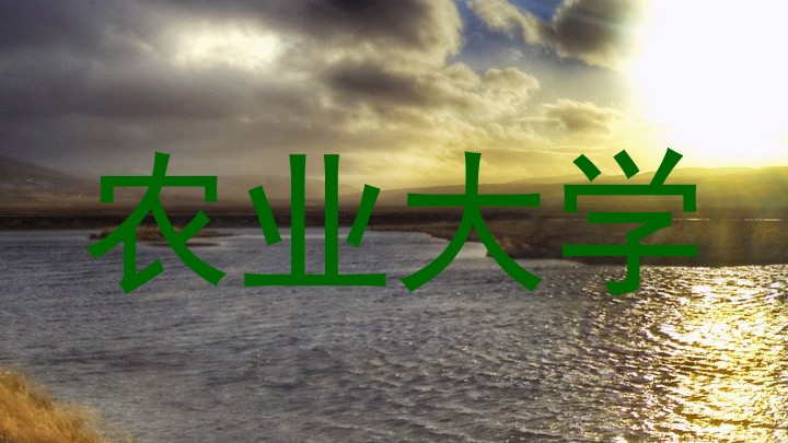 农业大学