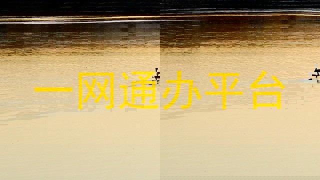 一网通办平台