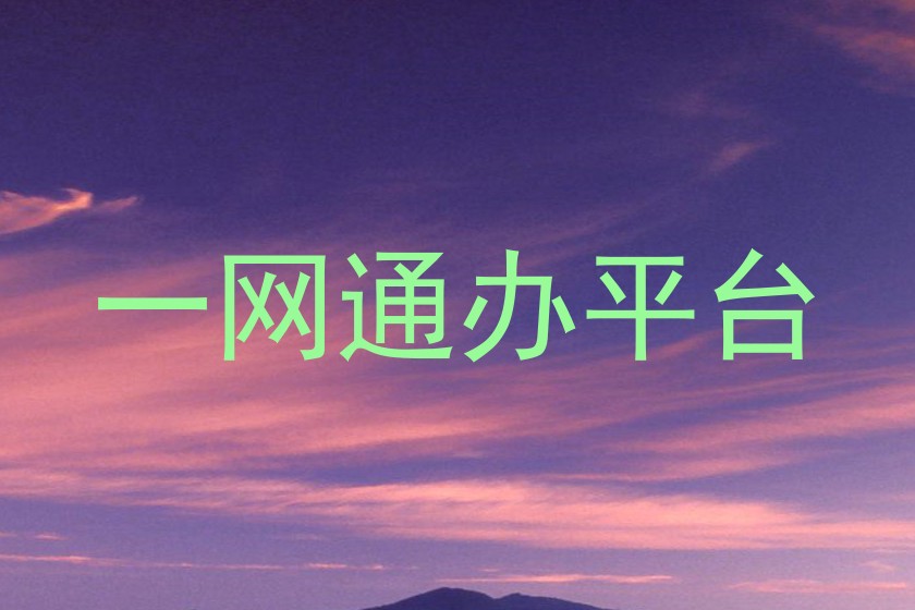 一网通办平台
