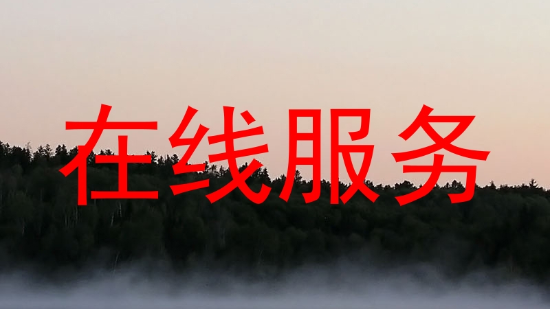 在线服务