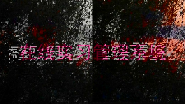 在线实习管理系统