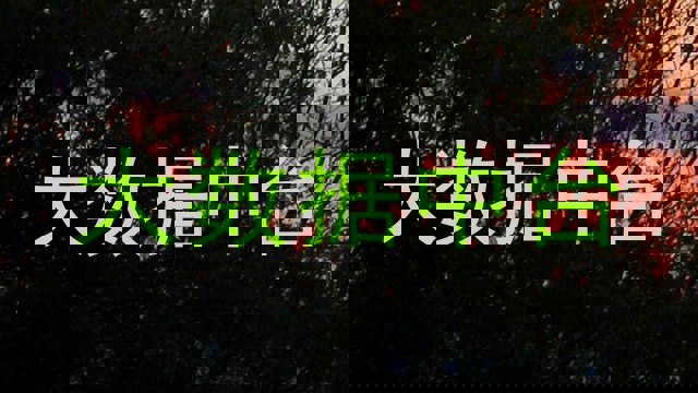大数据中台