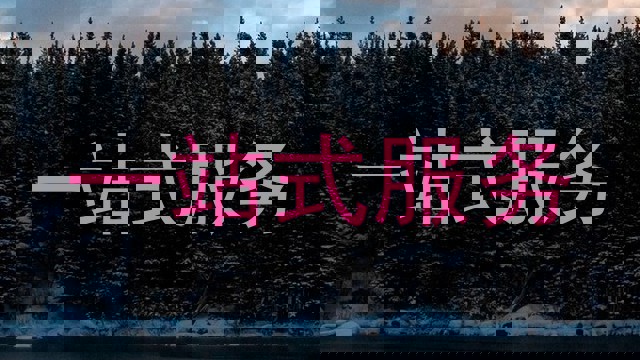 一站式服务