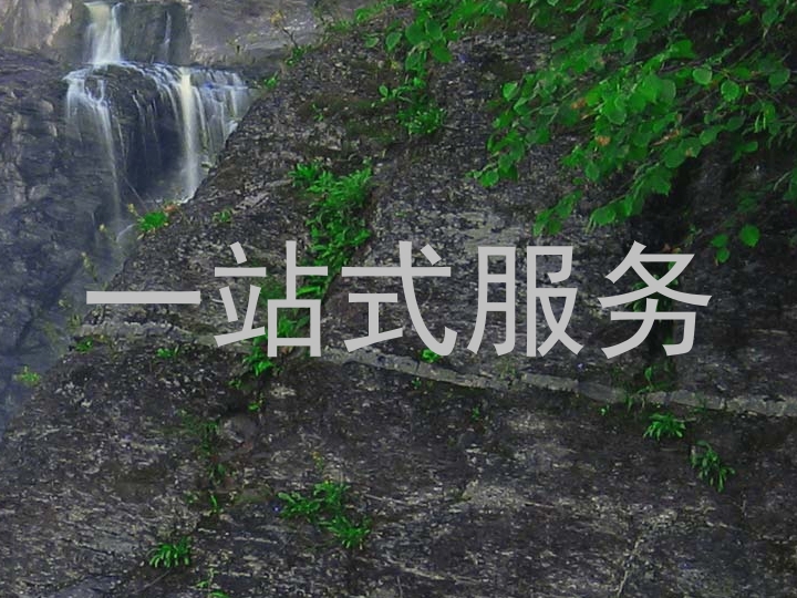 一站式服务