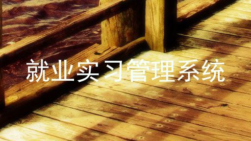 就业实习管理系统