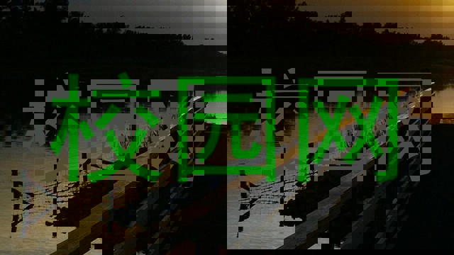 校园网