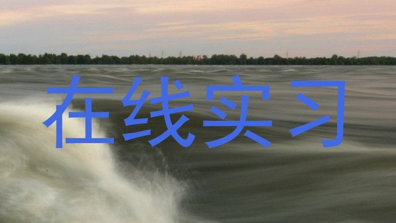 在线实习