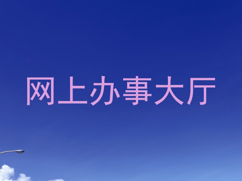 网上办事大厅