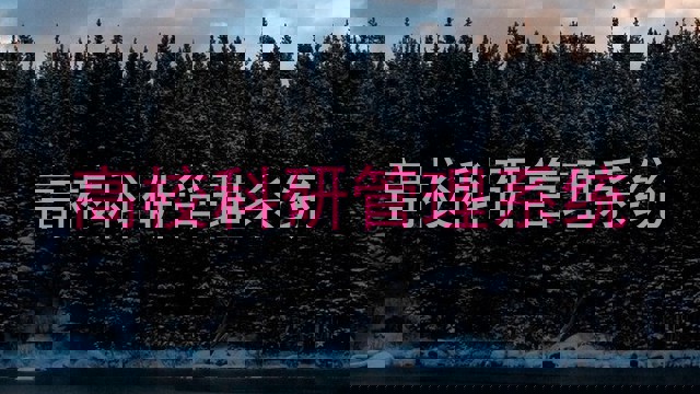 高校科研管理系统