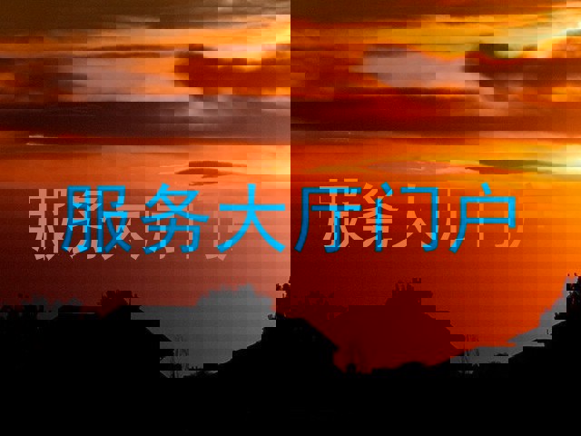 服务大厅门户
