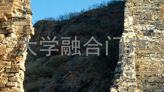 大学融合门户