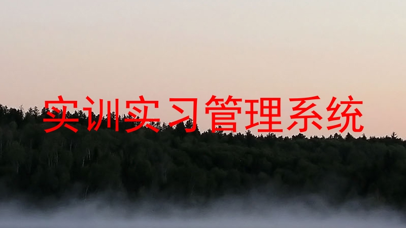 实训实习管理系统