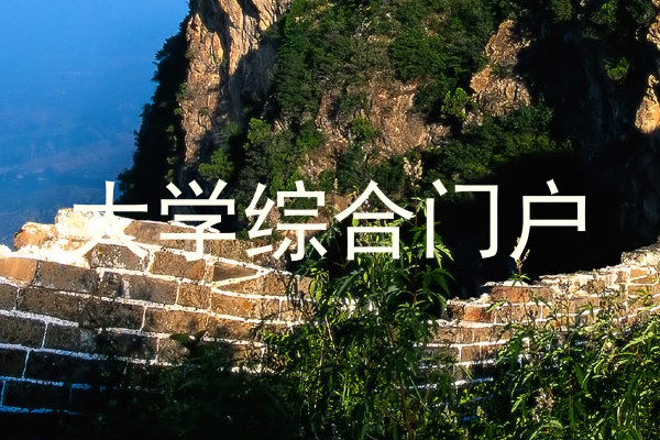 大学综合门户