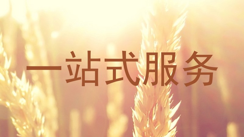一站式服务