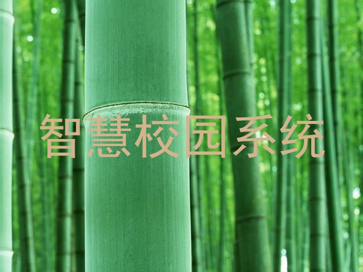 智慧校园系统