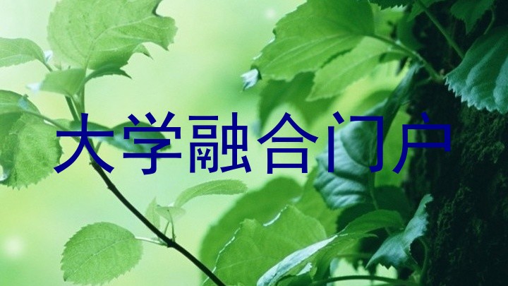 大学融合门户
