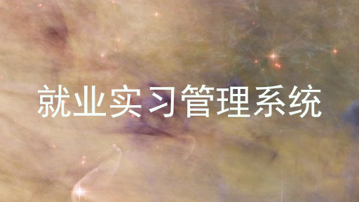就业实习管理系统
