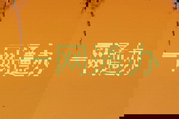 一网通办