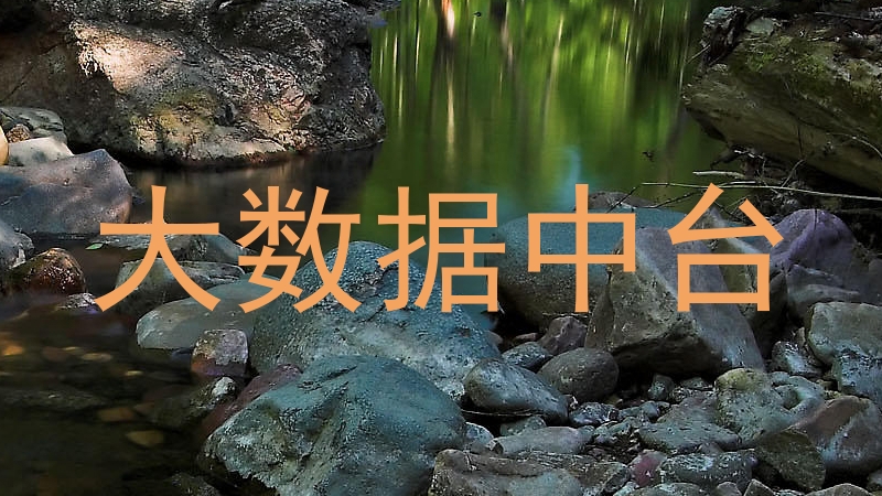 大数据中台