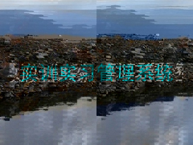 实训实习管理系统