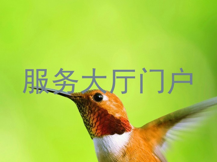 服务大厅门户