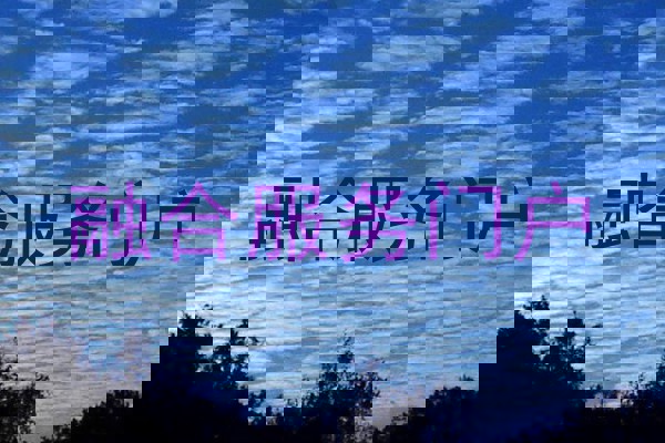 融合服务门户