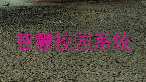 智慧校园系统