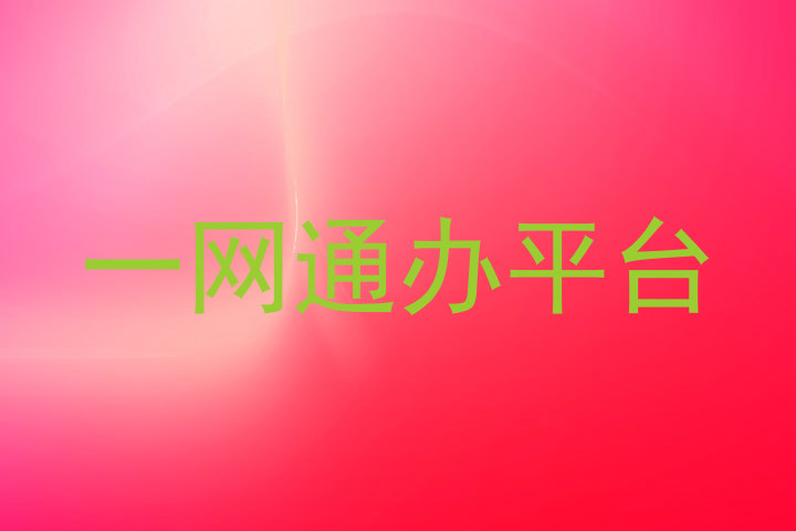 一网通办平台
