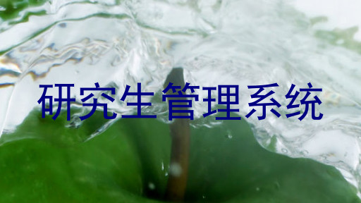 研究生管理系统