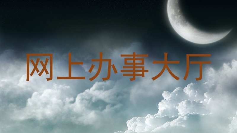 网上办事大厅