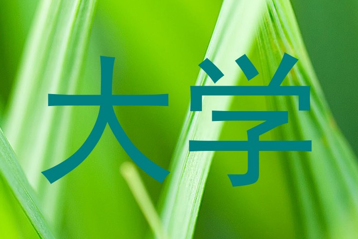大学