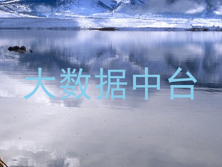 大数据中台