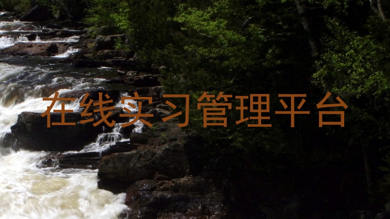在线实习管理平台