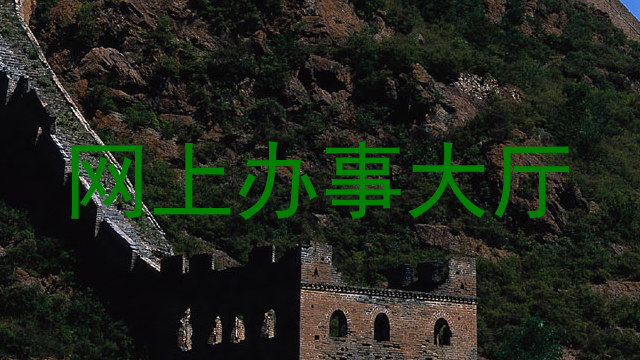 网上办事大厅