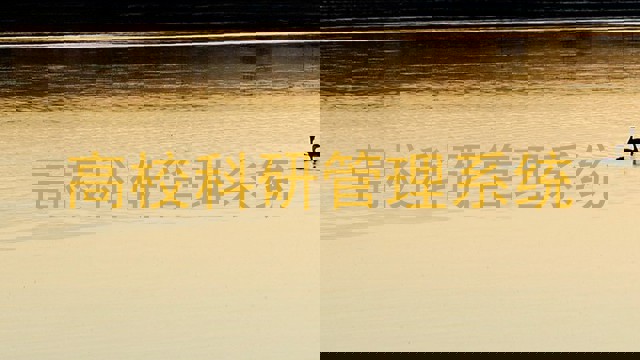 高校科研管理系统