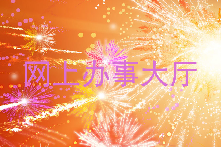 网上办事大厅